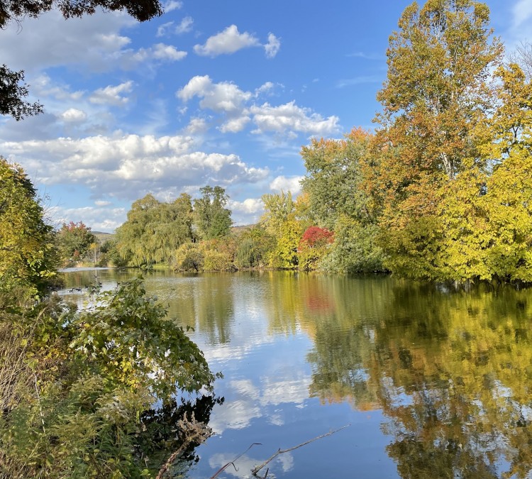Millers Pond Park (Elmira,&nbspNY)
